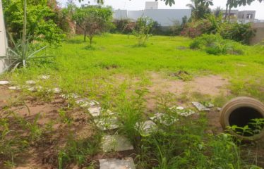 Land for sale in NGAPAROU