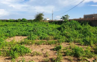 LAND FOR SALE IN NGAPAROU