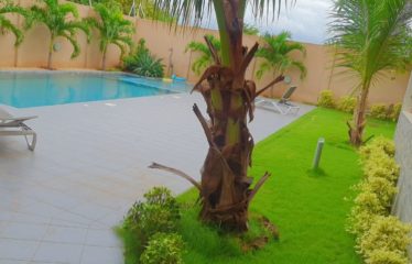 APARTMENT FOR RENT IN SALY