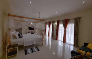 MAGNIFICENT VILLA FOR SALE IN SALY