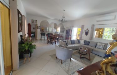 VILLA FOR SALE IN NGAPAROU