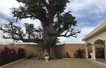 BELLE VILLA À VENDRE À SALY