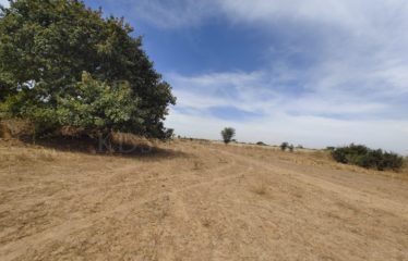 NGUERIGNE, TERRAIN DE 8 HECTARES À VENDRE