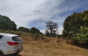 NGUERIGNE, TERRAIN DE 8 HECTARES À VENDRE