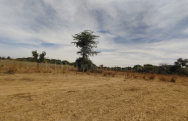 NGUERIGNE, TERRAIN DE 8 HECTARES À VENDRE