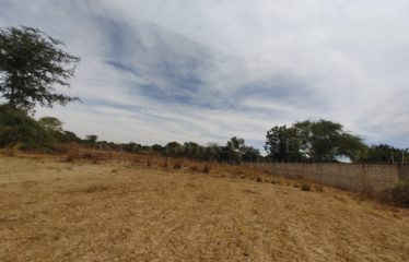 NGUERIGNE, TERRAIN DE 8 HECTARES À VENDRE