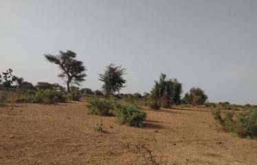 TERRAIN DE 7000 M2 À VENDRE À NGAPAROU