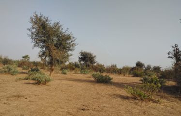 TERRAIN DE 7000 M2 À VENDRE À NGAPAROU