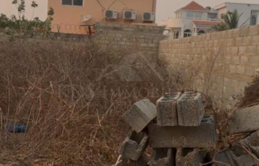 TERRAIN DE 300 M2 À VENDRE À NGAPAROU