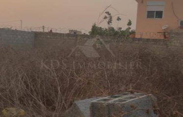 TERRAIN DE 300 M2 À VENDRE À NGAPAROU