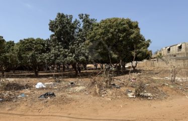 NGAPAROU TERRAIN DE 3600 M2 à vendre