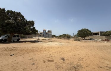 TERRAIN À VENDRE À NGAPAROU