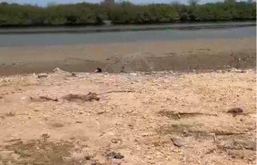 MBODIÉNENE, TERRAIN PIEDS DANS L’EAU À VENDRE